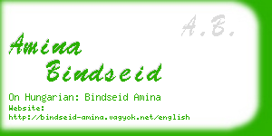 amina bindseid business card